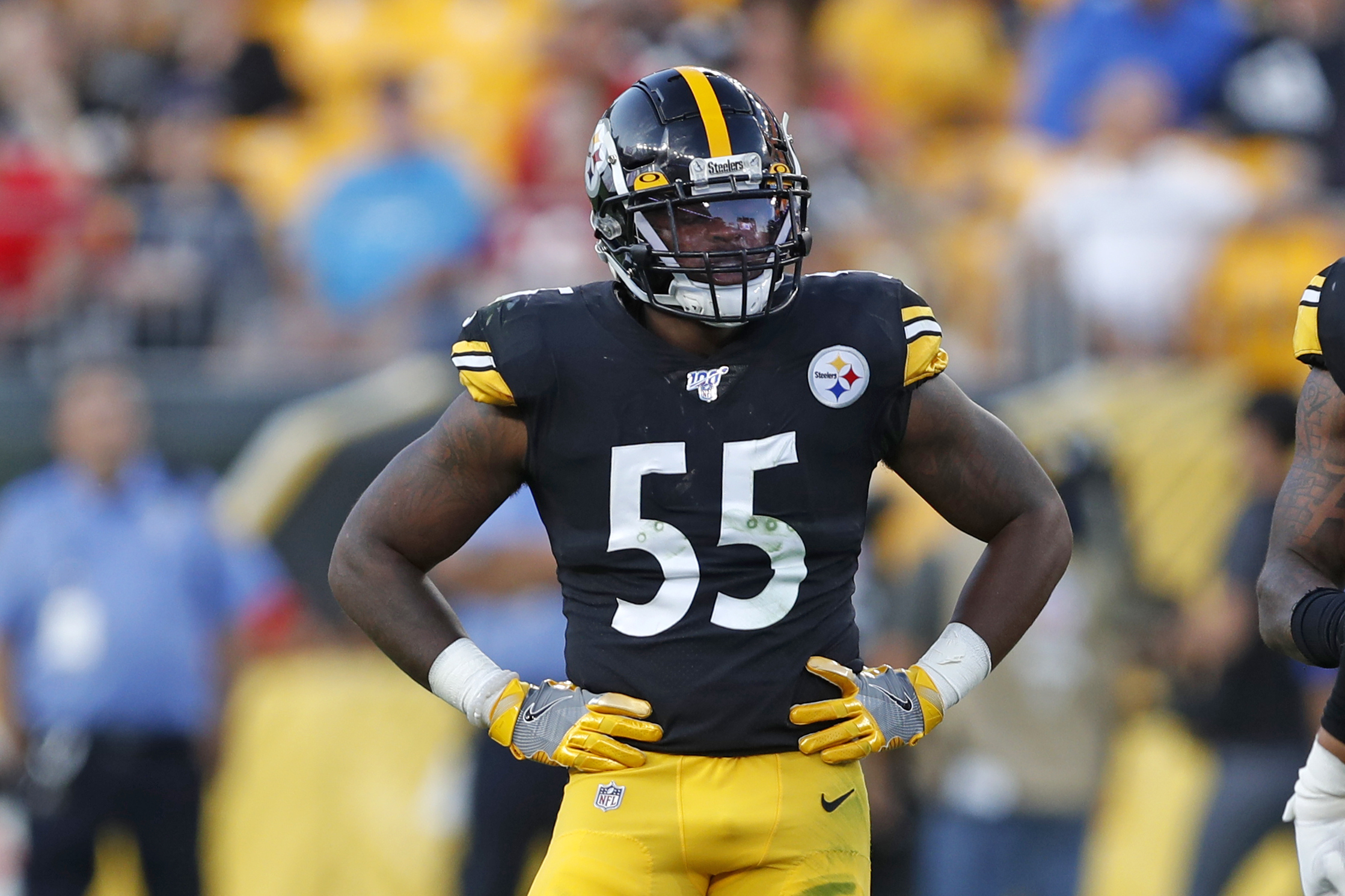 Steelers Defense Devin Bush