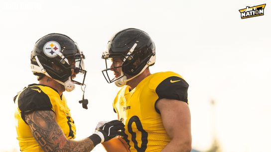 Steelers TJ Watt Nick Herbig