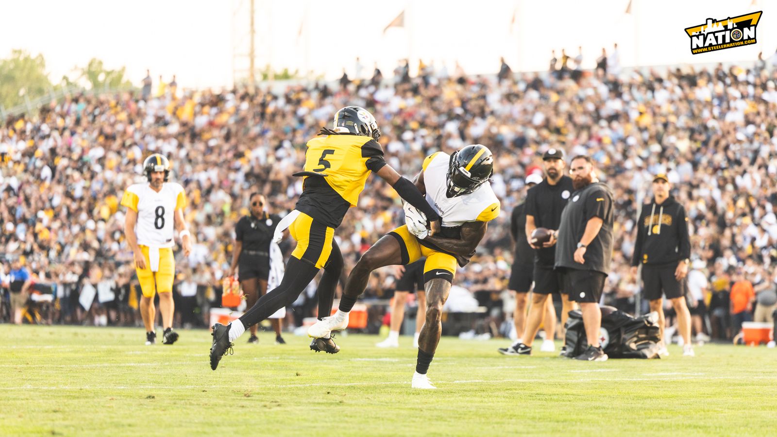 Injuries To Steelers DK Metcalf And Michael Pittman Jr More Serious Than Initially Thought (Steelers News). Photo by Jordan Schofield / SteelerNation (X: @JSKO_PHOTO)