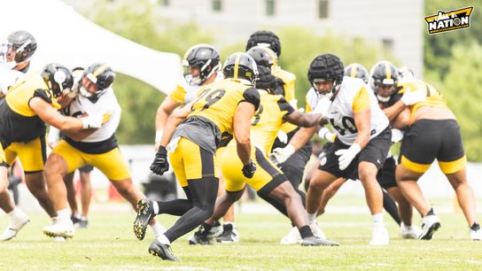 Steelers Sebastian Castro