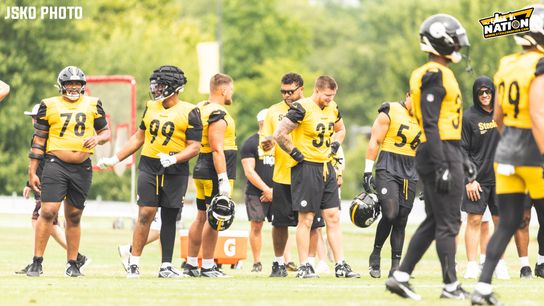 Steelers Cam Heyward Logan Lee