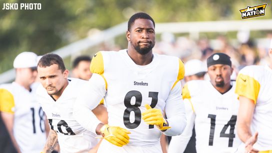 Steelers Jonnu Smith Steelers Jonnu Smith