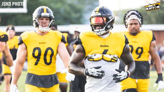 Steelers Patrick Queen TJ Watt Steelers Patrick Queen TJ Watt