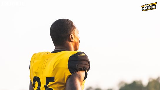 Steelers DeShon Elliott Steelers DeShon Elliott