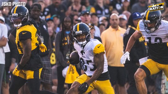 Steelers Ke'Shawn Williams Steelers Ke'Shawn Williams