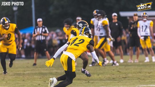 Steelers James Pierre