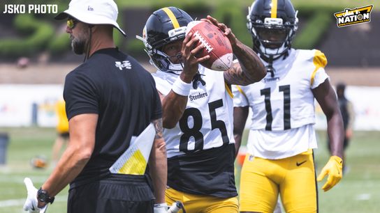 Steelers Ke'Shawn Williams