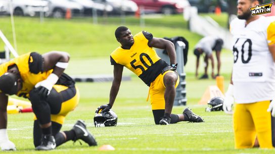 Steelers Jamin Davis Steelers Jamin Davis