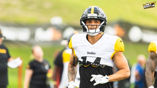 Steelers Roman Wilson Steelers Roman Wilson