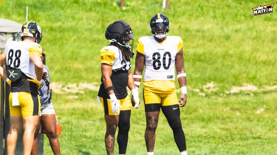 Steelers Darnell Washington Riley Nowakowski