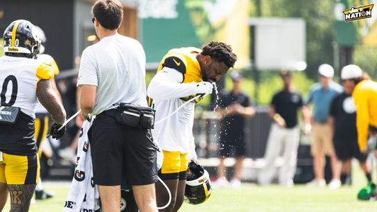 Steelers Patrick Queen Steelers Patrick Queen