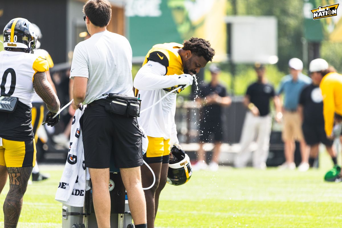 Steelers Patrick Queen Steelers Patrick Queen