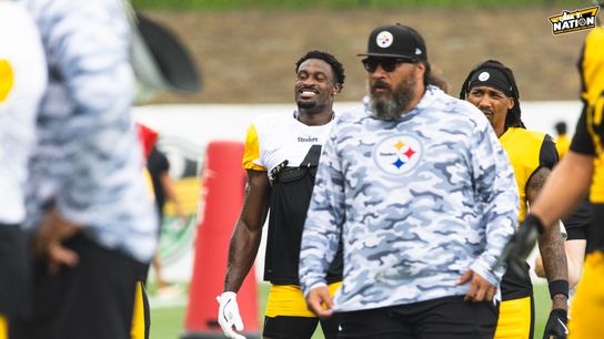 Steelers Domata Peko Steelers Domata Peko