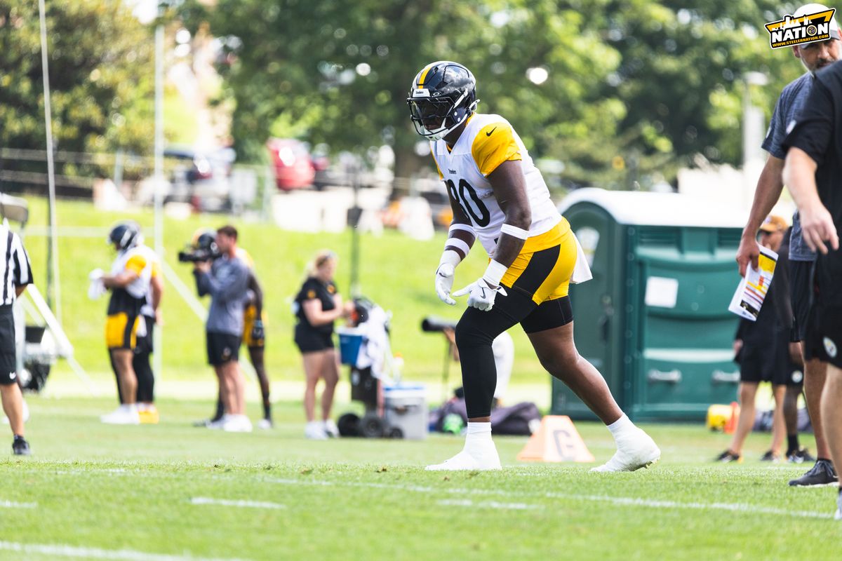 Steelers Darnell Washington 