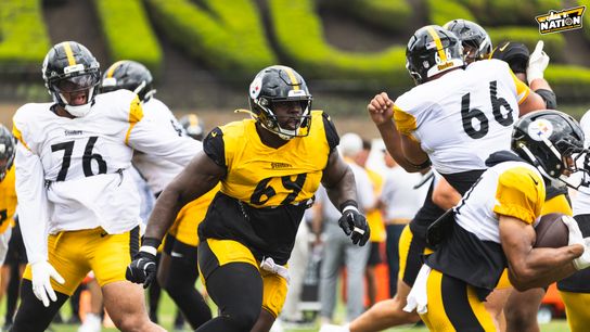 Steelers Make Quick Move As Veteran Defender Hits Injured Reserve (Steelers News)