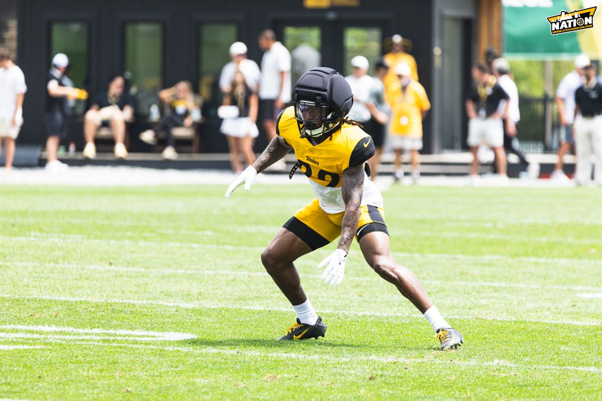 Steelers Asante Samuel Jr. Steelers Asante Samuel Jr.