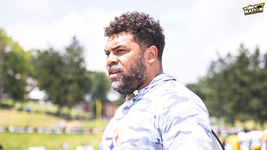 Steelers Cam Heyward Steelers Cam Heyward