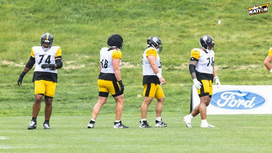 Steelers "Like" Under The Radar Offensive Tackle But 1 Problem (Steelers News)