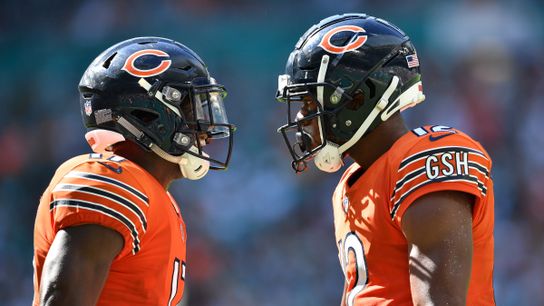 Steelers Anthony Miller and Allen Robinson Steelers Anthony Miller and Allen Robinson