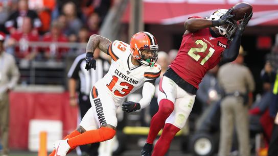 Steelers Patrick Peterson and Odell Beckham Jr Steelers Patrick Peterson and Odell Beckham Jr