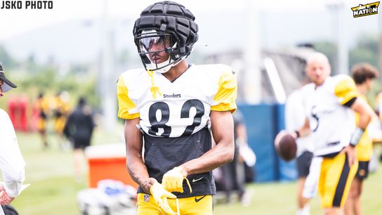 Steelers - Dez Fitzpatrick