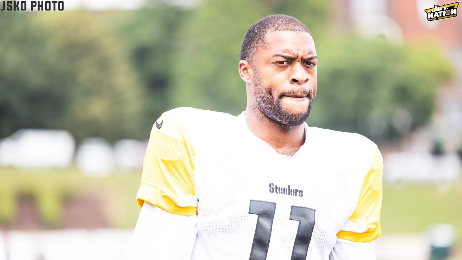 Steelers Allen Robinson