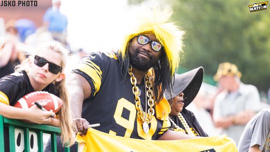 Steelers Fan
