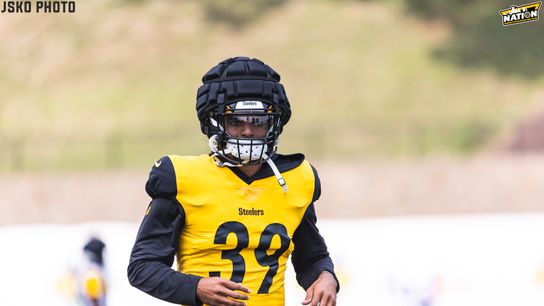 Steelers Minkah Fitzpatrick