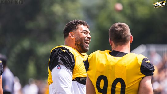 Steelers Cam Heyward