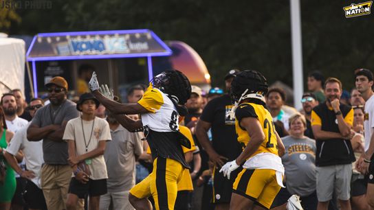 Steelers Dez Fitzpatrick Isaiah Dunn