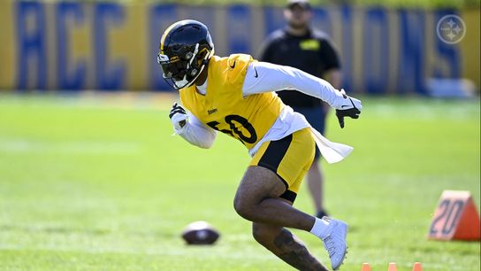 Steelers Elandon Roberts Steelers Elandon Roberts