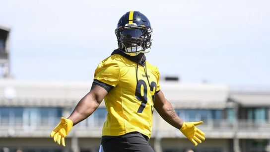 Steelers Mark Robinson Steelers Mark Robinson
