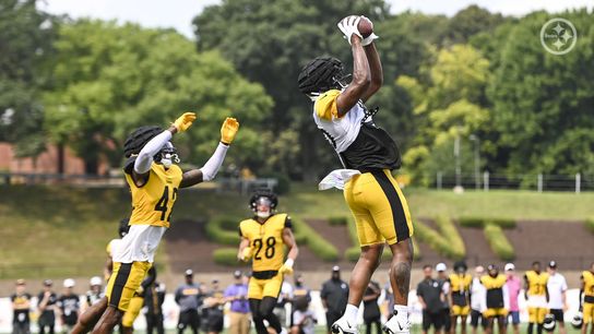 Steelers Darnell Washington Steelers Darnell Washington