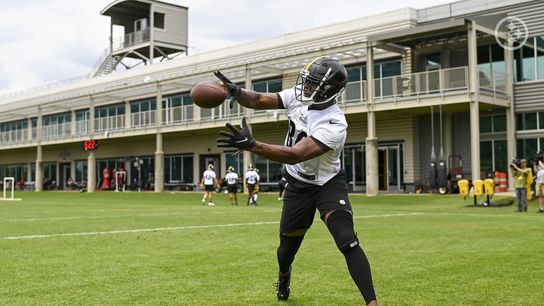 Steelers Darnell Washington Steelers Darnell Washington