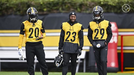 Steelers Patrick Peterson Levi Wallace Steelers Patrick Peterson Levi Wallace
