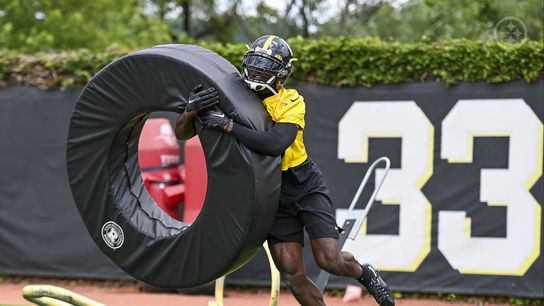 Steelers Patrick Peterson Steelers Patrick Peterson