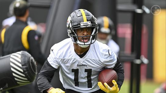 Steelers Allen Robinson Steelers Allen Robinson
