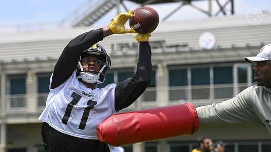 Steelers Allen Robinson Steelers Allen Robinson