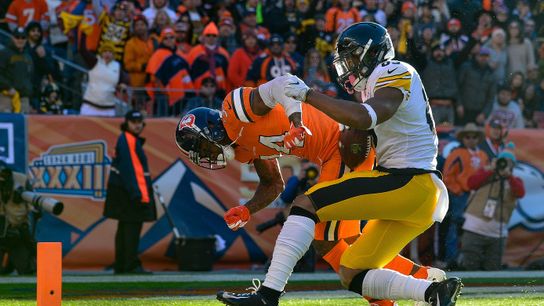 Steelers' Xavier Grimble Steelers' Xavier Grimble