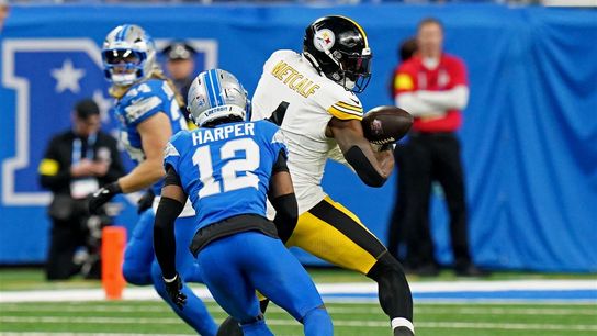  New Angle Of Alleged Punch May Completely Change Everything For Steelers' DK Metcalf (Steelers News)
