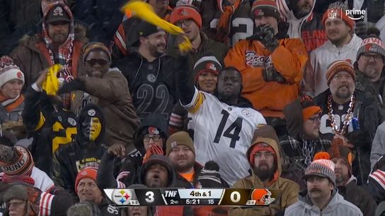 Steelers fans Browns fans Steelers fans Browns fans