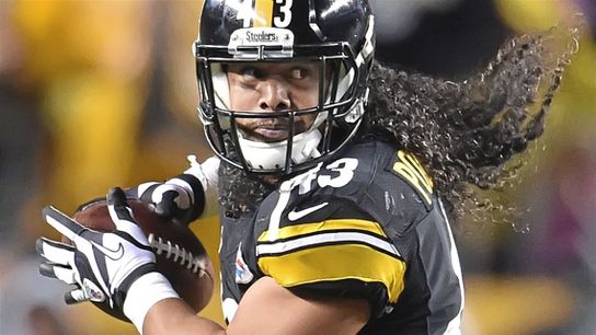Steelers' Troy Polamalu Steelers' Troy Polamalu