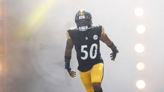 Steelers Have A Huge Opportunity To Fix A Glaring Issue By Signing Elandon Roberts (Steelers News)