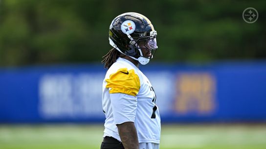 Steelers' Max Iheanachor Has 2 Critical Areas Of Growth To Show Coaching Staff (Pittsburgh Steelers)
