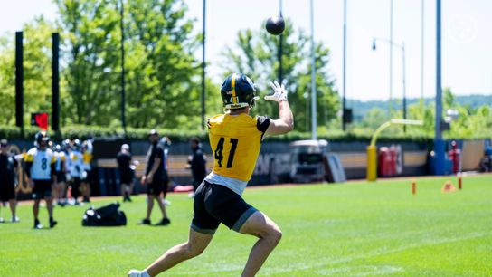 Steelers' Payton Wilson Will Have Critical Role In One Part Of Defense For 2026 (Steelers News)