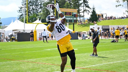 Steelers' Darnell Washington Provides Reasoning For Important Physical Change Ahead Of 2026 Season (Steelers News)