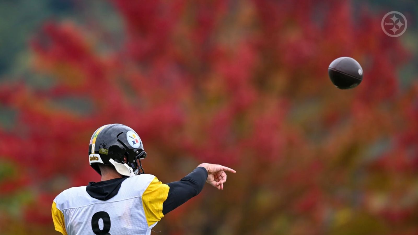 Steelers Expected To Run Into Major Problem On Sunday Against The Buccaneers (Steelers News). Photo by Karl Roser / Pittsburgh Steelers