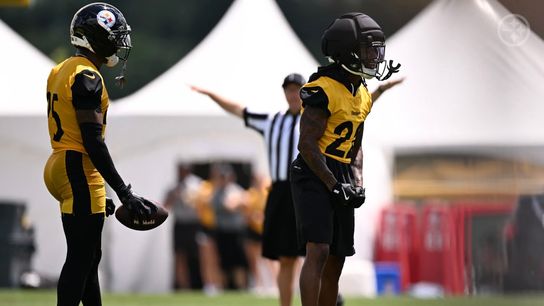 Steelers' Asante Samuel Jr.