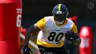 Steelers' Darnell Washington Has Clear Goal As He Looks To Take Major Leap In 2026 (Steelers News). Photo by Karl Roser / Pittsburgh Steelers