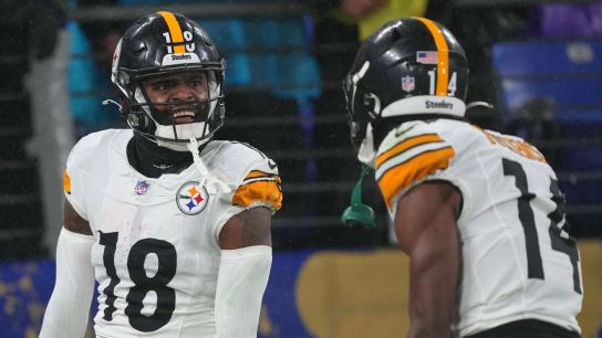 Former Controversial Steelers Wide Receiver Bashes The Fan Base (Steelers News)